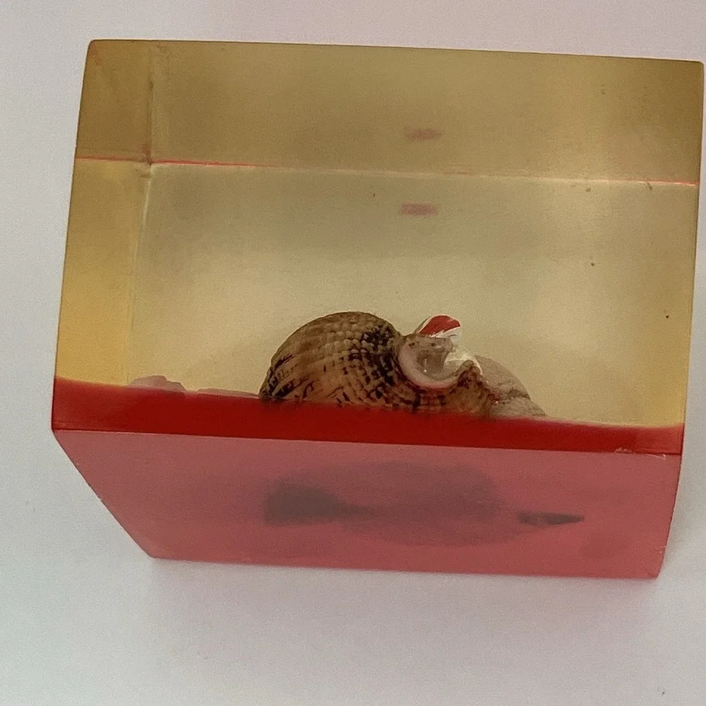 Vtg Lucite Resin Sea Shell Paperweight MCM‎ Beach Coastal Desk Decor Whimsical